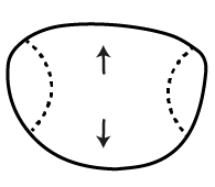 Multi focal lenses ( Progressive)